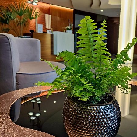 Bazuny Hotel&Spa Kościerzyna Εξωτερικό φωτογραφία