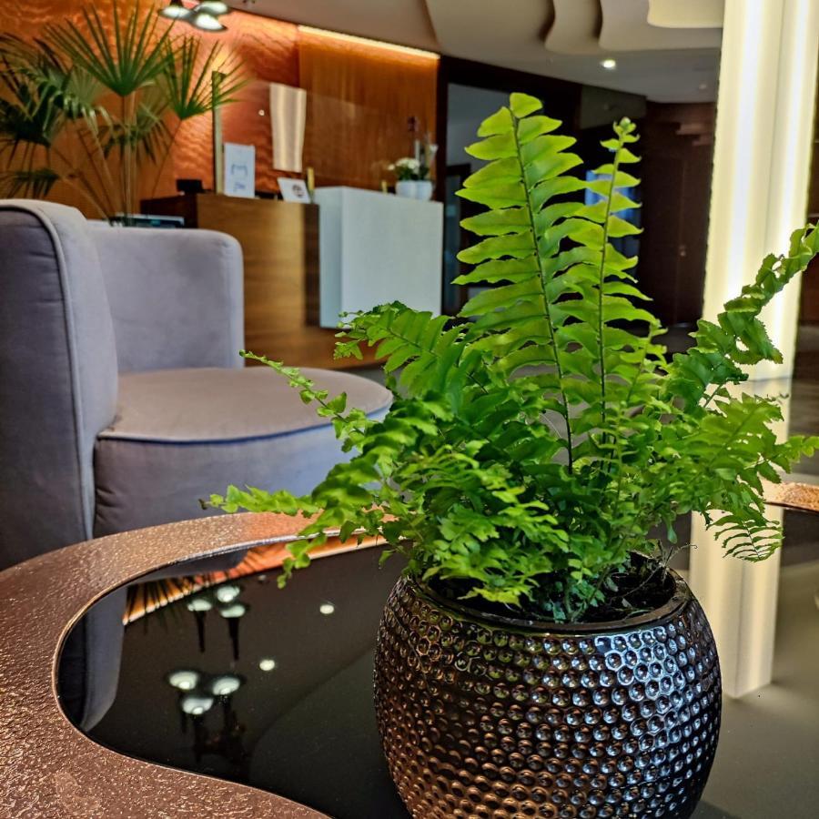 Bazuny Hotel&Spa Kościerzyna Εξωτερικό φωτογραφία